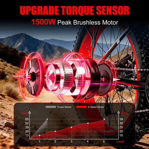 1500W Fat Tire Electric Bike