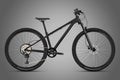 GTR (SP) - Twitter XC Alloy Mountain Bike